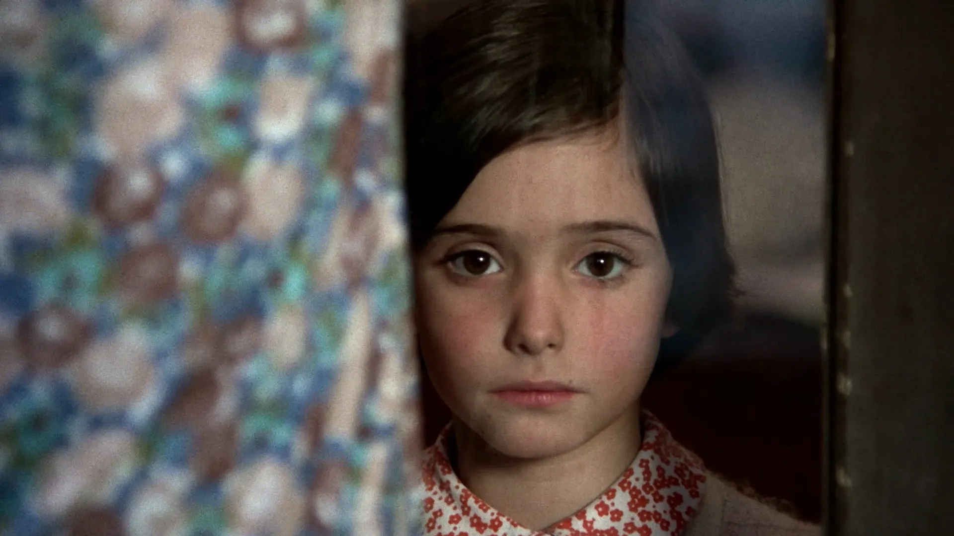 Ana Torrent gazes at the camera from behind a floral curtain in Cría Cuervos, Carlos Saura's 1976 classic